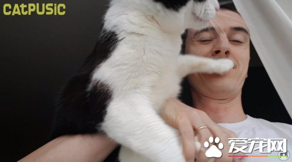 和爱猫自拍合照失败?白俄罗斯猫奴分享合照妙招