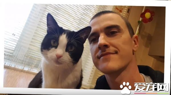 和爱猫自拍合照失败?白俄罗斯猫奴分享合照妙招