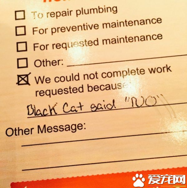 修缮员无功而返留下纸条 原来黑猫监工不准进门