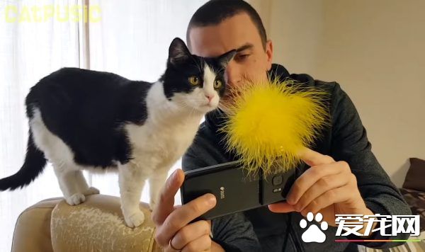 和爱猫自拍合照失败?白俄罗斯猫奴分享合照妙招