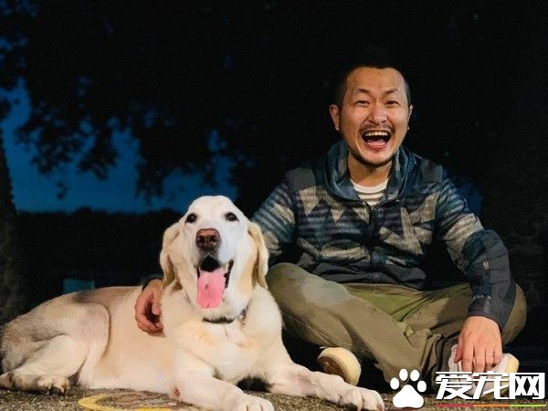 14岁爱犬患癌痛苦不已 主人将30公斤狗狗抱回家