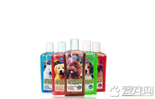 狗狗能用人的沐浴露吗