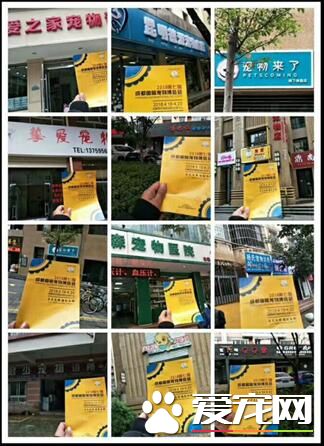 成都宠博会招展火热进行 各大品牌强势入驻