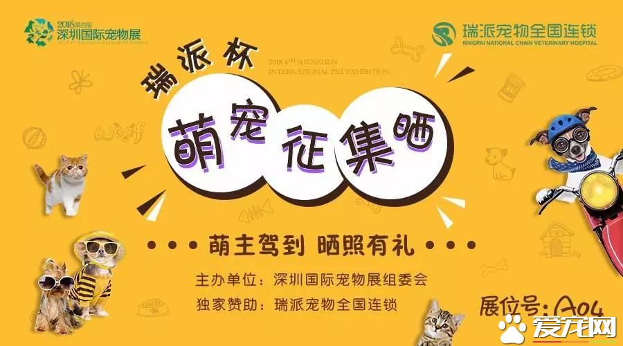 属于铲屎官们的年度盛会 2018第四届深圳国际宠物展5月1日启幕