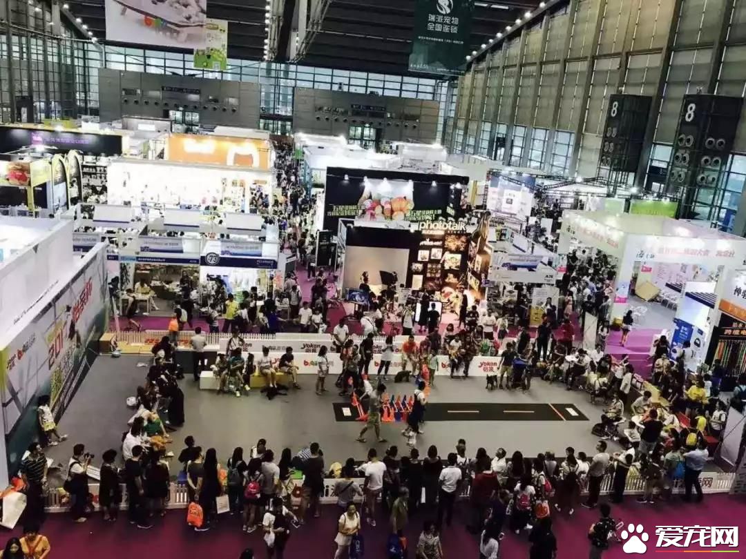 属于铲屎官们的年度盛会 2018第四届深圳国际宠物展5月1日启幕
