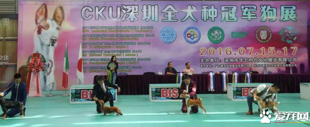 属于铲屎官们的年度盛会 2018第四届深圳国际宠物展5月1日启幕