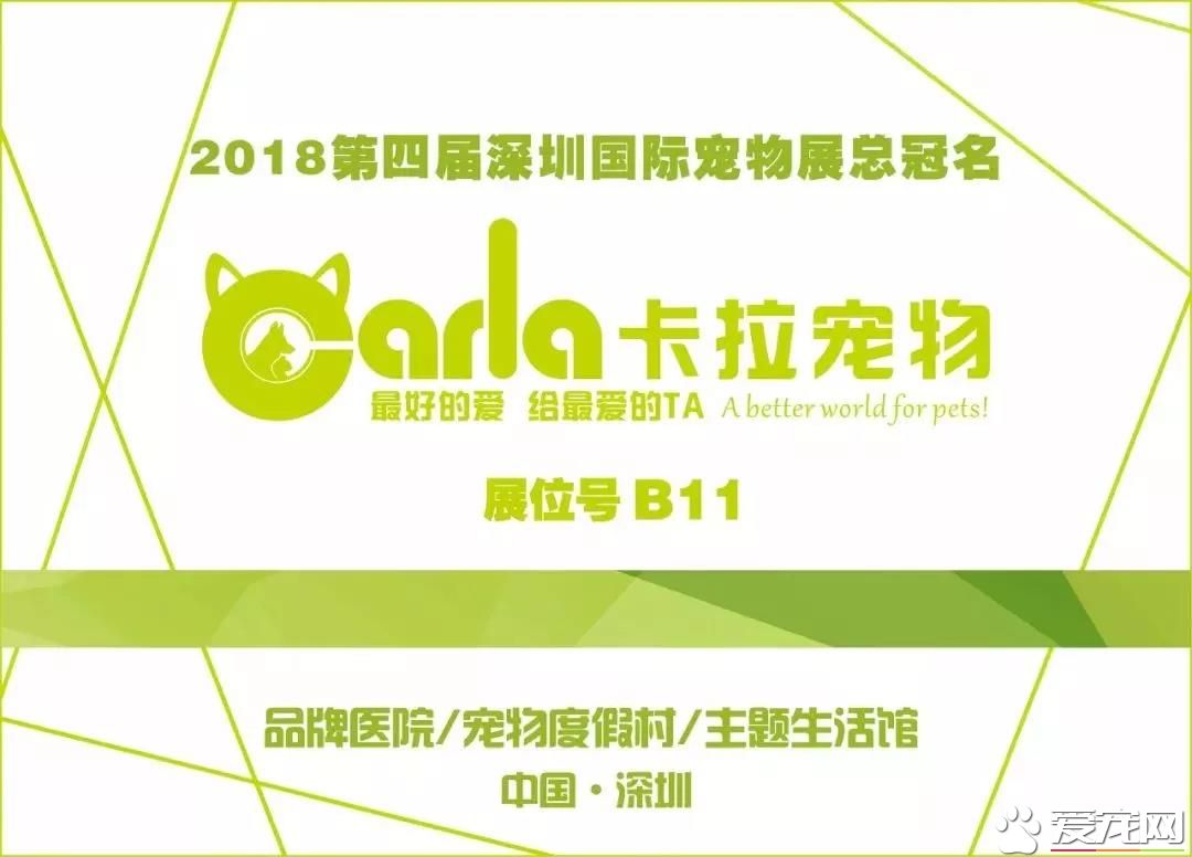 属于铲屎官们的年度盛会 2018第四届深圳国际宠物展5月1日启幕