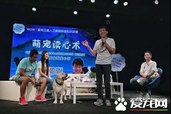 属于铲屎官们的年度盛会 2018第四届深圳国际宠物展5月1日启幕