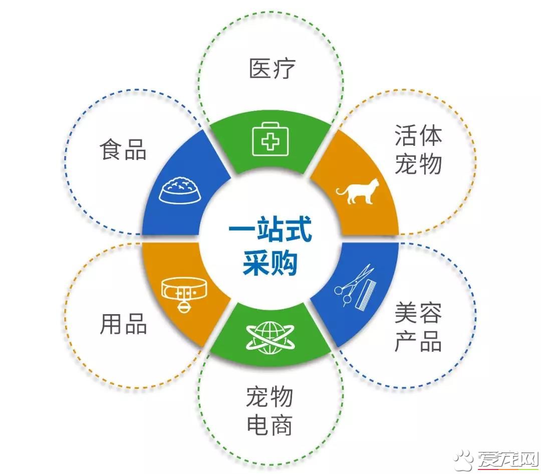属于铲屎官们的年度盛会 2018第四届深圳国际宠物展5月1日启幕