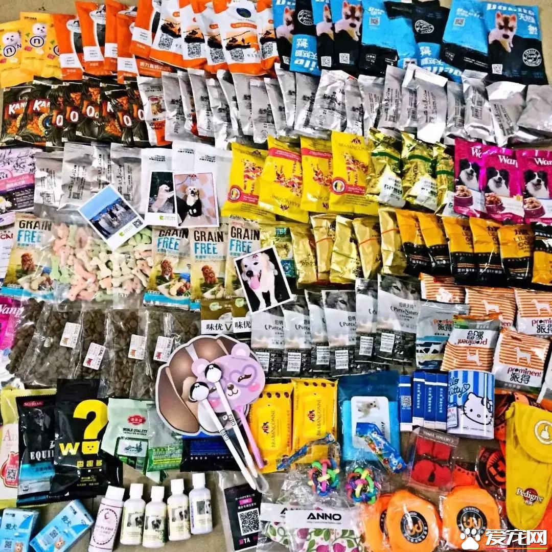 属于铲屎官们的年度盛会 2018第四届深圳国际宠物展5月1日启幕