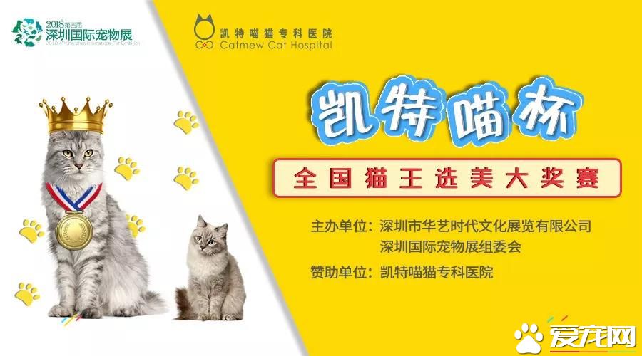 属于铲屎官们的年度盛会 2018第四届深圳国际宠物展5月1日启幕