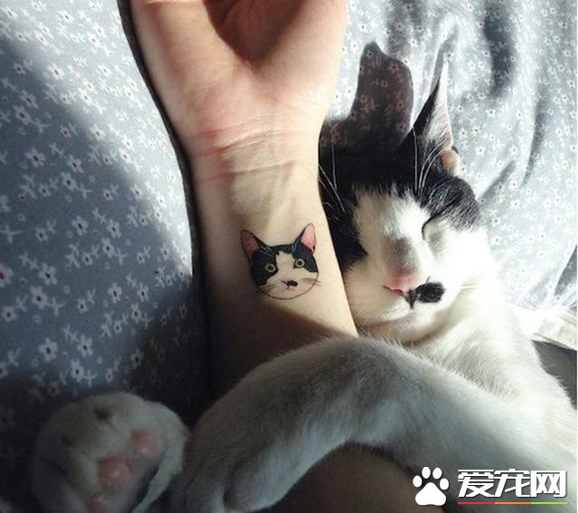 与爱宠永远在一起：宠物形象纹身成潮流(组图)- 新闻