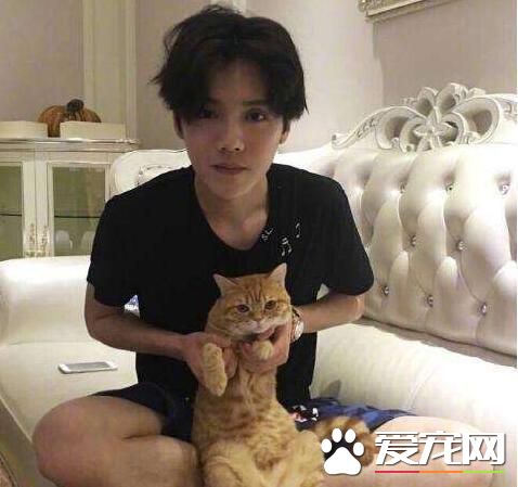 鹿晗的宠物，王源的宠物，胡歌的宠物，都没有她的宠物任性！