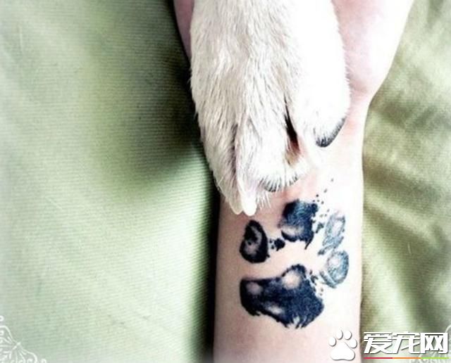 与爱宠永远在一起：宠物形象纹身成潮流(组图)- 新闻