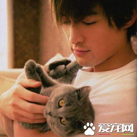 鹿晗的宠物，王源的宠物，胡歌的宠物，都没有她的宠物任性！