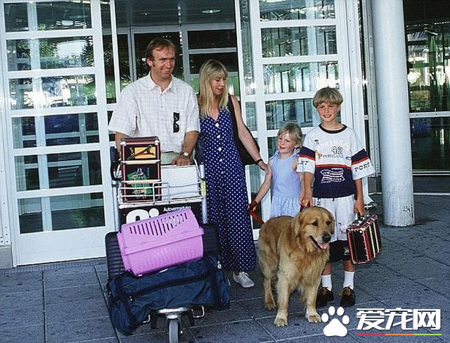 美机场将开动物航站楼 豪华宠物套房可按摩水疗(组图)- 新闻