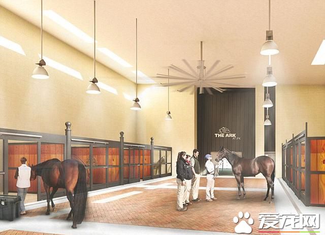 美机场将开动物航站楼 豪华宠物套房可按摩水疗(组图)- 新闻