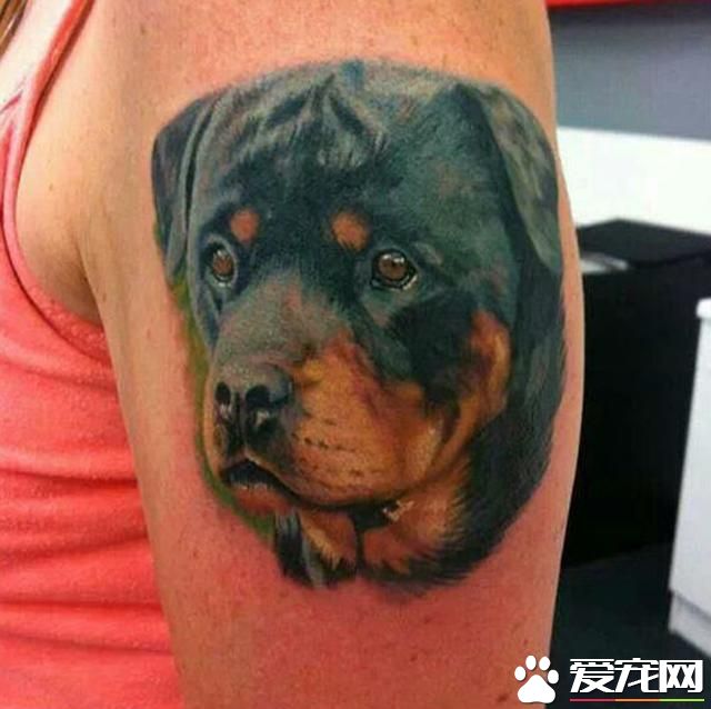 与爱宠永远在一起：宠物形象纹身成潮流(组图)- 新闻