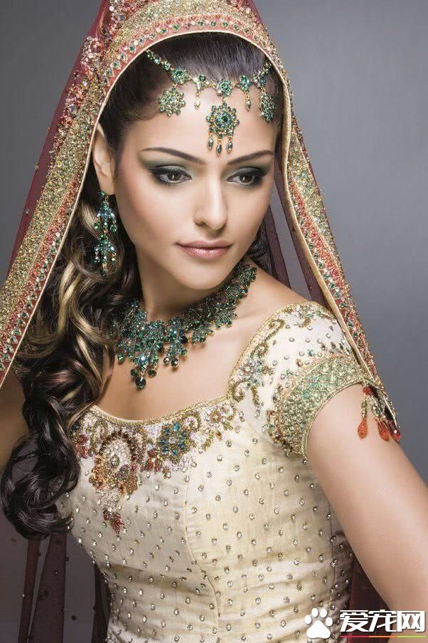 最适合12星座养的宠物下篇，摩羯座和蜥蜴为伴