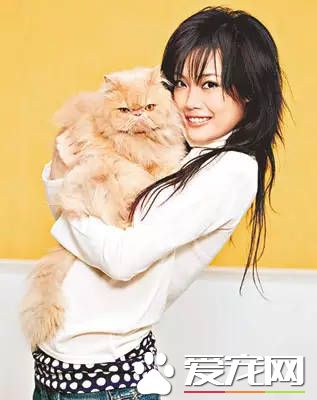 孙俪和赵丽颖的宠物 都比不上他的宠物