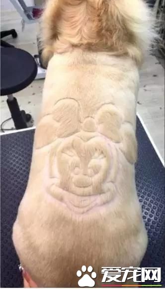 台湾的这家宠物美容院上了国外新闻，只因有这么个任性的老板