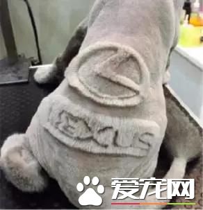 台湾的这家宠物美容院上了国外新闻，只因有这么个任性的老板