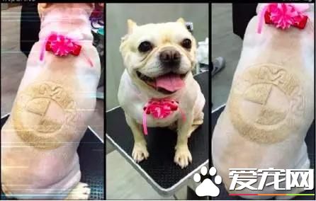 台湾的这家宠物美容院上了国外新闻，只因有这么个任性的老板