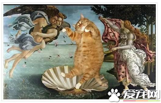 当宠物猫乱入名画
