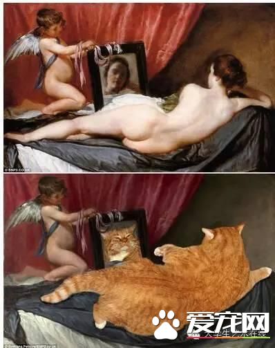 当宠物猫乱入名画