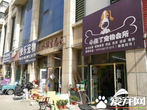 潍坊：楼下宠物狗从早叫到晚 沿街住户直称“受不了”