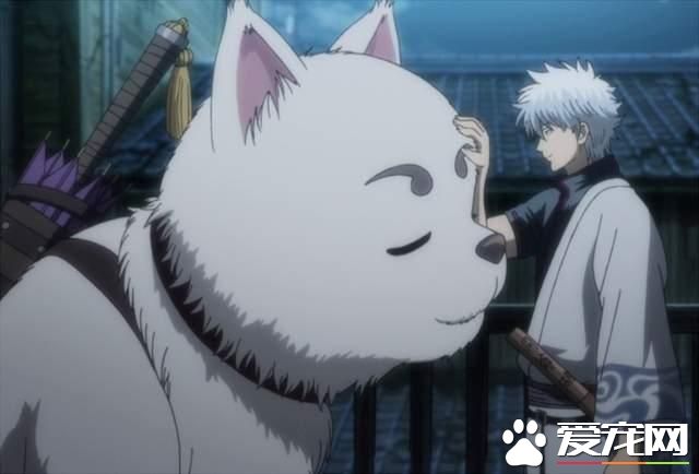 动漫中最想饲养的宠物排名！