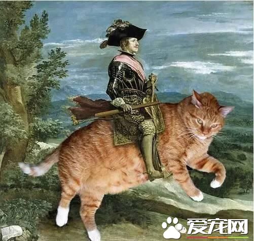 当宠物猫乱入名画