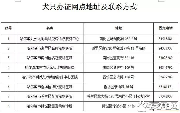 诸多“猛犬”禁养 哈尔滨每户限养一只狗狗