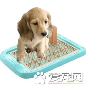 “宠物卫生间”在珠海设置 使城市更加卫生洁净