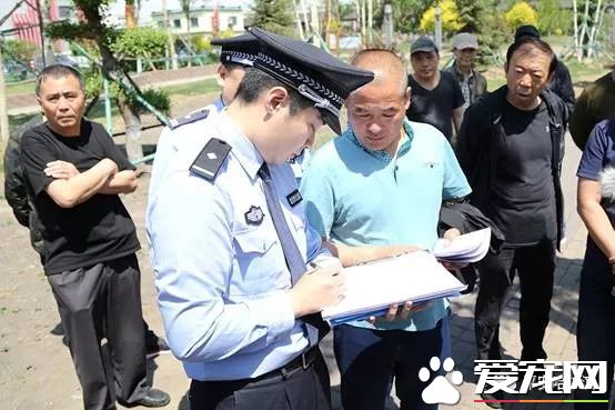 诸多“猛犬”禁养 哈尔滨每户限养一只狗狗