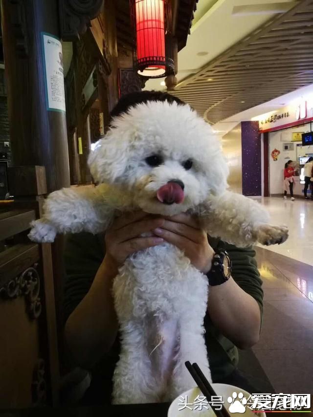 【养宠故事】自从有了你~