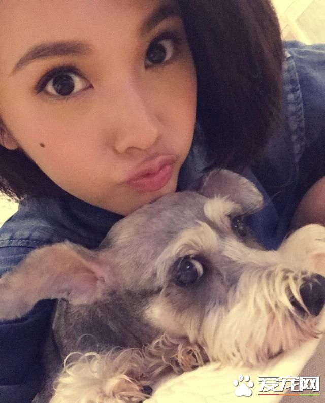 盘点明星们养的狗狗们,往往爱狗的人运气都不差,你喜欢那只呢?