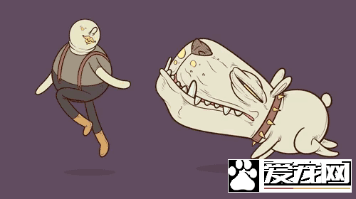 牵着狗狗出门，拎着狗狗回来