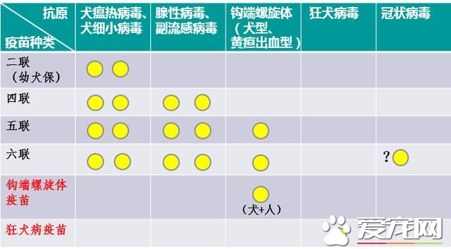 疫苗厂家培训实录：原来我们知道的疫苗知识很多都是错的（狗）