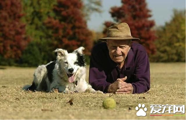 为什么养狗狗,养狗狗有好处?