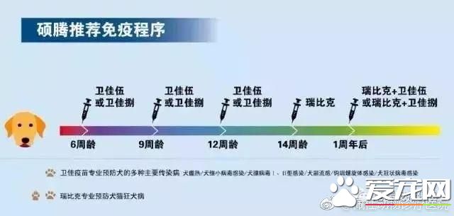 疫苗厂家培训实录：原来我们知道的疫苗知识很多都是错的（狗）