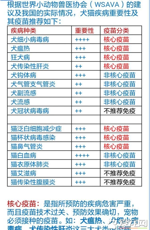 疫苗厂家培训实录：原来我们知道的疫苗知识很多都是错的（狗）