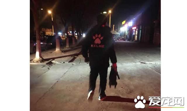 牵着狗狗出门，拎着狗狗回来