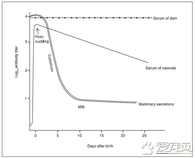 疫苗厂家培训实录：原来我们知道的疫苗知识很多都是错的（狗）