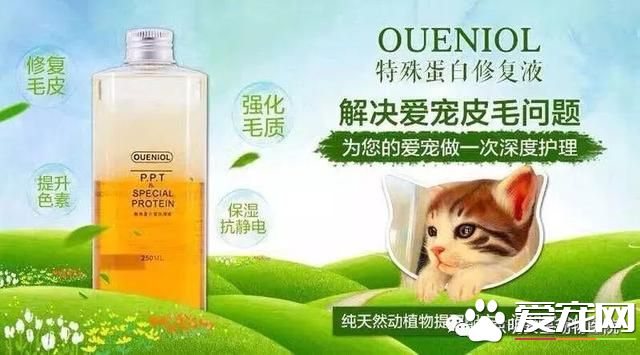 宠物换毛季,我该怎么办?