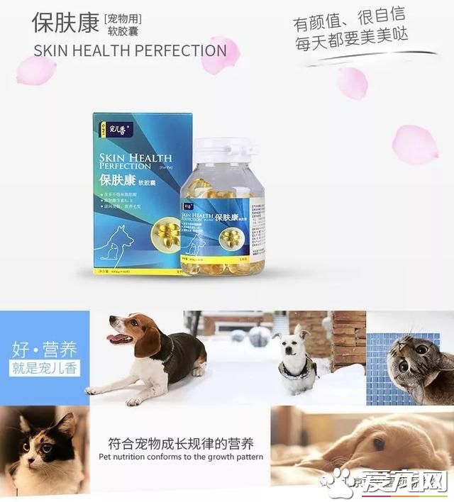 宠物换毛季,我该怎么办?