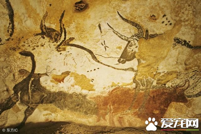 载入狗届史册的六位伟狗