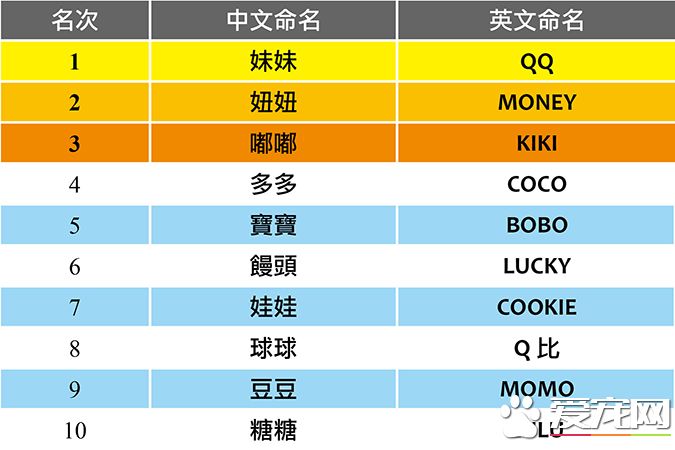 你知道台湾人最喜欢帮狗狗取什麽名字吗