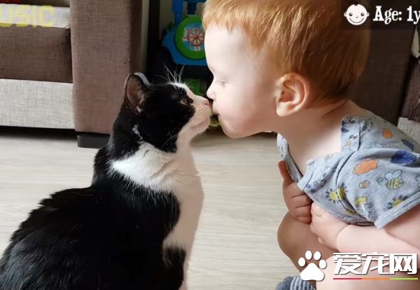 亲猫狂 人类弟弟超爱他的猫哥哥