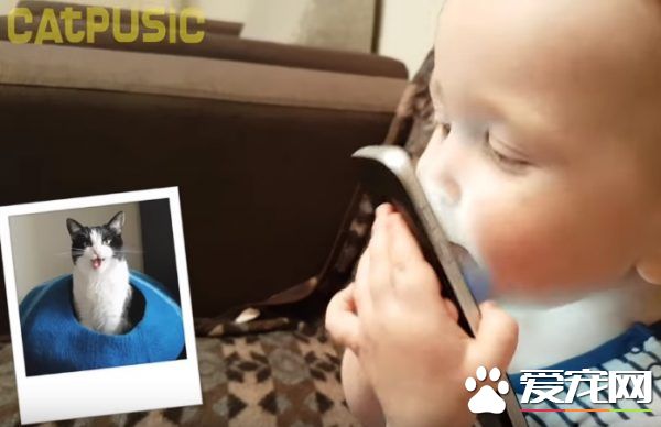 亲猫狂 人类弟弟超爱他的猫哥哥